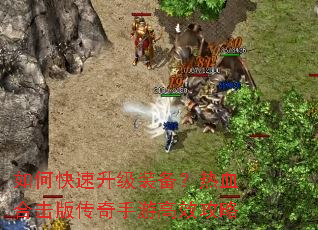 ��ο�������װ������Ѫ�ϻ��洫�����θ�Ч����