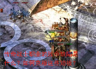 ����սʿְҵ������ȱ����ʲô����ο˷���Щ�̰壿