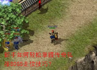 ��������������մ���˽��BOSS��λ���ɣ�