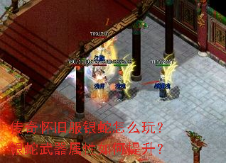 ���滳�ɷ�������ô�棿���������������������