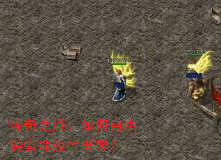 ����֮�ã��������̽�����������磿