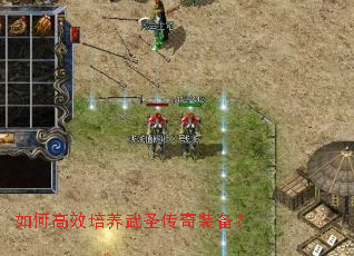 ��θ�Ч������ʥ����װ����