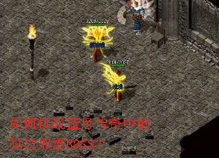 �����ս���´����е��﷨а��BOSS��