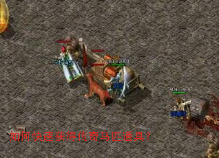 ��ο��ٻ�ô�����ƥ���ߣ�