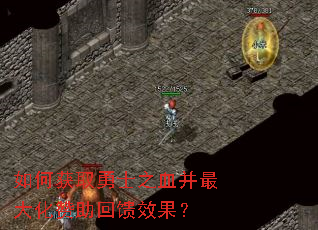 ��λ�ȡ��ʿ֮Ѫ�������������Ч����