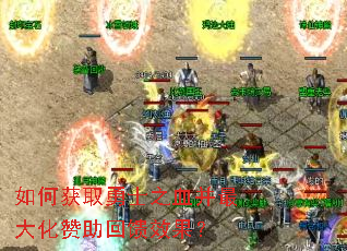 ��λ�ȡ��ʿ֮Ѫ�������������Ч����