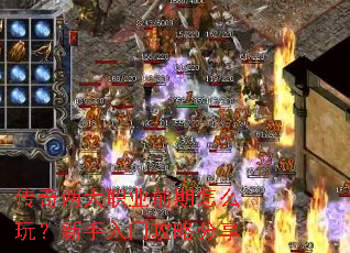 ��������ְҵǰ����ô�棿�������Ź��Է���