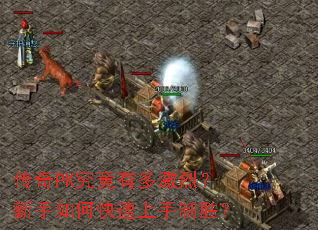 ����PK�����ж༤�ң�������ο���������ʤ��