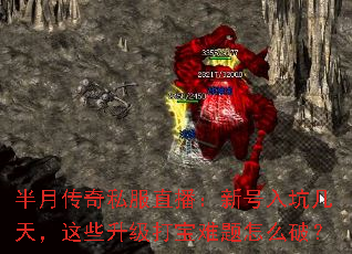 ���´���˽��ֱ�����º���Ӽ��죬��Щ������������ô�ƣ�