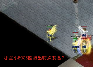 ��ЩСBOSS�ܱ�������װ����