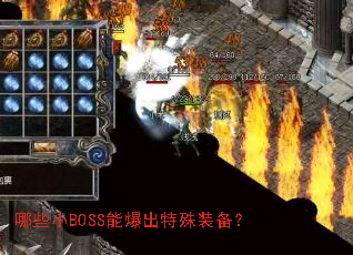 ��ЩСBOSS�ܱ�������װ����