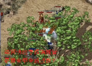 ��ο����������ǽ��ǻƽ��ȫ�¼��ܣ�