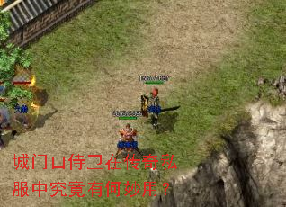 ���ſ������ڴ���˽���о����к����ã�