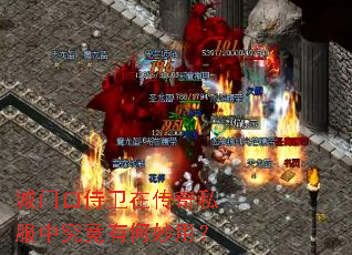 ���ſ������ڴ���˽���о����к����ã�