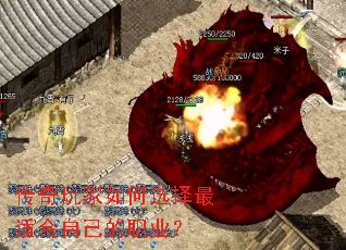 ����������ѡ�����ʺ��Լ���ְҵ��