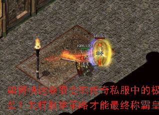 ��ο��ٻ�ȡ��̬����˽���еļ�Ʒ��װ�������ƶ����Բ������ճưԻʳǣ�