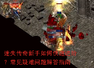 ��ʧ����������ο��ٽ��ף���������������ָ��