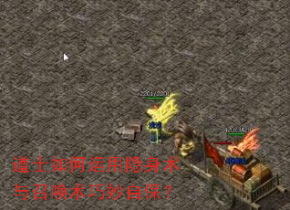 ��ʿ����������������ٻ��������Ա���