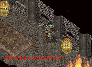 ����սʿ��ο��������ȼ���