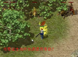 ����սʿ��ο��������ȼ���