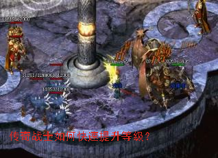 ����սʿ��ο��������ȼ���