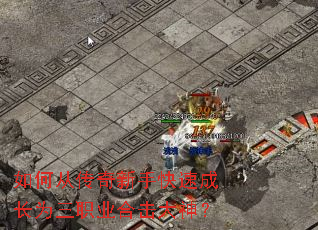 ��δӴ������ֿ��ٳɳ�Ϊ��ְҵ�ϻ�����