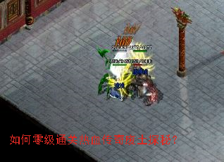 ����㼶ͨ����Ѫ�������̽�أ�