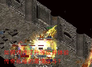 ��ο��������ȼ������鴫��˽���ļ���ս����