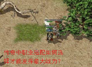 ������ְҵ�������ѡ����ܷ������ս����