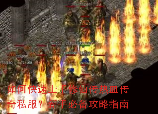 ��ο����������ɴ���Ѫ����˽�������ֱر�����ָ��