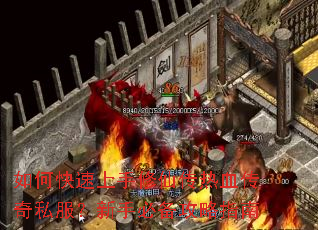 ��ο����������ɴ���Ѫ����˽�������ֱر�����ָ��