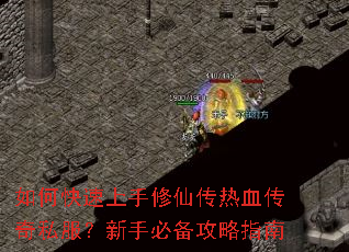 ��ο����������ɴ���Ѫ����˽�������ֱر�����ָ��