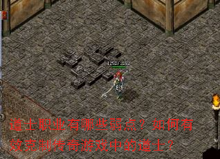 ��ʿְҵ����Щ���㣿�����Ч���ƴ�����Ϸ�еĵ�ʿ��