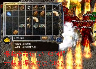 ��װȫ���������������װ�������о�����