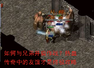 ������ֵܲ�����ս����Ѫ�����е���������ռ�����