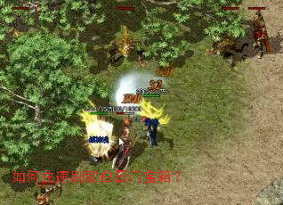 ��ο���ˢȡ�����ű��䣿