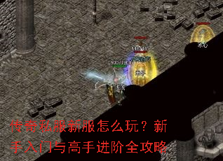 ����˽���·���ô�棿������������ֽ���ȫ����