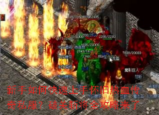 ������ο������ֻ�����Ѫ����˽�����ƹ�ն��ȫ��������