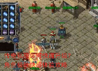 ����˽����ο�����������ɫ���¿�����鹥��