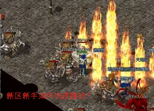 ����������ο���׬Ǯ��