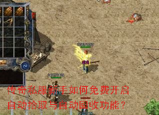 ����˽�����������ѿ����Զ�ʰȡ���Զ����չ��ܣ�