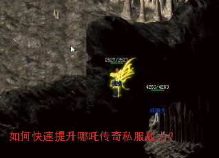 ��ο���������߸����˽��ս����