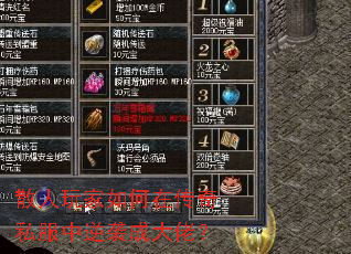 ɢ���������ڴ���˽������Ϯ�ɴ��У�