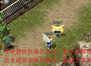 ������Ϸ˽����ô�棿������ο������ţ����ֽ��׹�������Щ���۷�֮·��ô�ߣ�