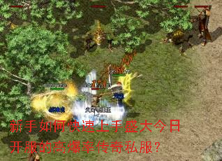 ������ο�������ʢ����տ����ĸ߱��ʴ���˽����