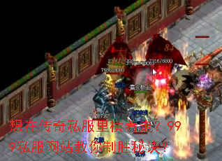 ���ڴ���˽��������ߣ�999˽����վ������ʤ�ؾ���