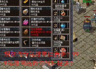 ���ڴ���˽��������ߣ�999˽����վ������ʤ�ؾ���