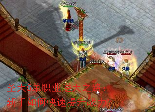 ʥ��5��ְҵ����֮·��������ο�������ս����