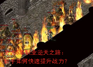 ʥ��5��ְҵ����֮·��������ο�������ս����