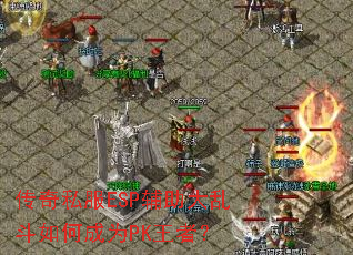 ����˽��ESP�������Ҷ���γ�ΪPK���ߣ�